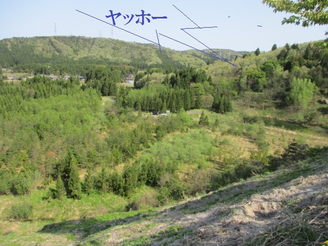 c0080863_21093426.jpg