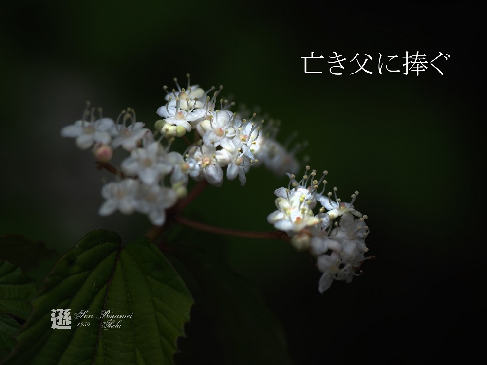 a0330864_06493609.jpg