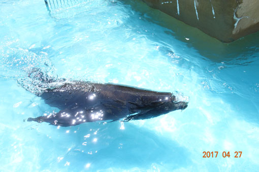 b0075364_7302073.jpg