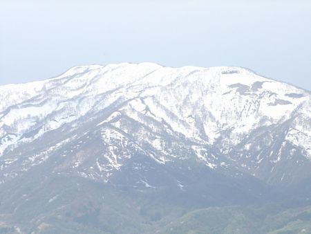 b0161371_10112109.jpg