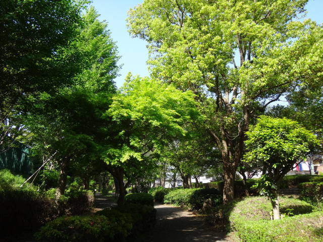 a0113874_17154491.jpg