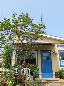 e0130185_23311136.jpg
