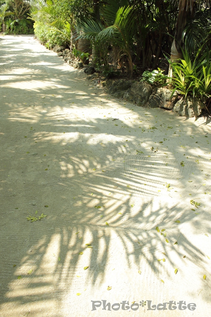 e0364195_20221895.jpg