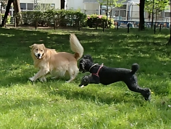 f0033598_12275582.jpg