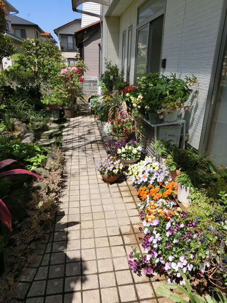 e0131399_0184681.jpg