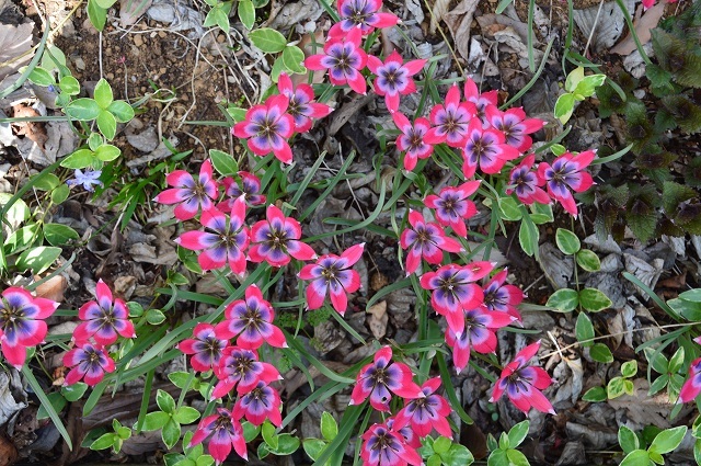 c0124100_14195213.jpg