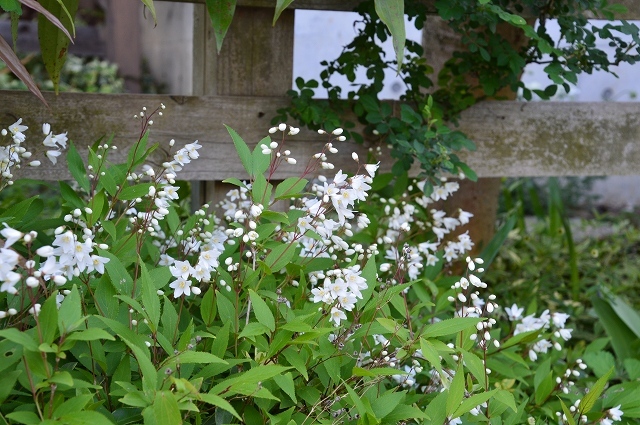 c0124100_16380155.jpg
