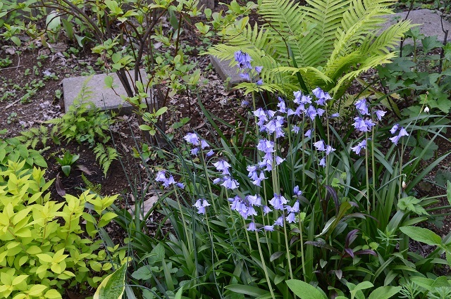 c0124100_16381173.jpg