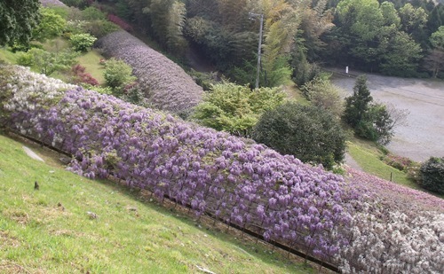 c0017802_16541339.jpg