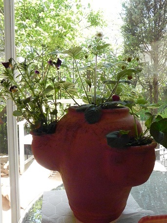 c0152002_10083132.jpg