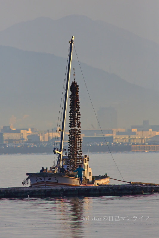 d0361602_12243739.jpg