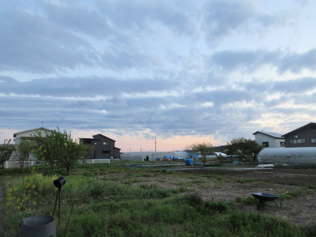 a0203003_22172068.jpg