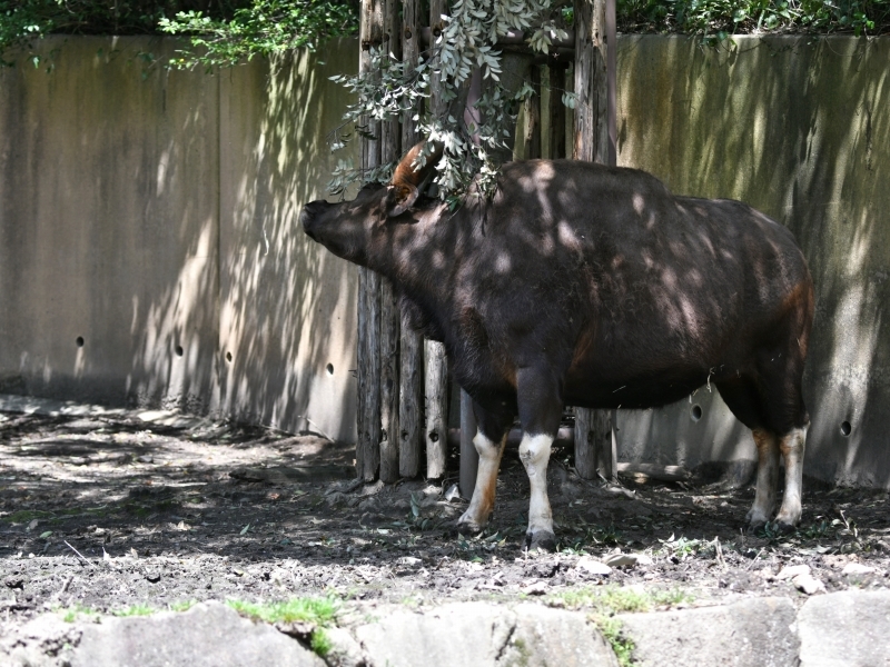 a0164204_14133918.jpg