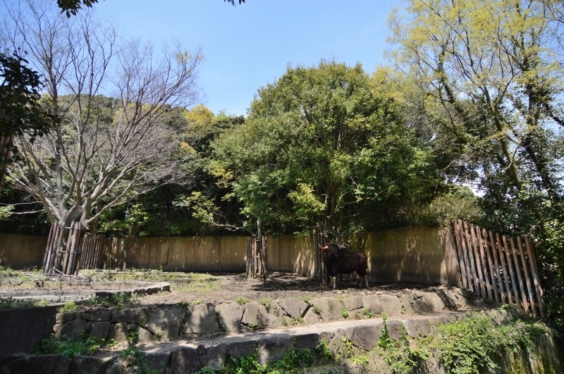 a0164204_14134072.jpg