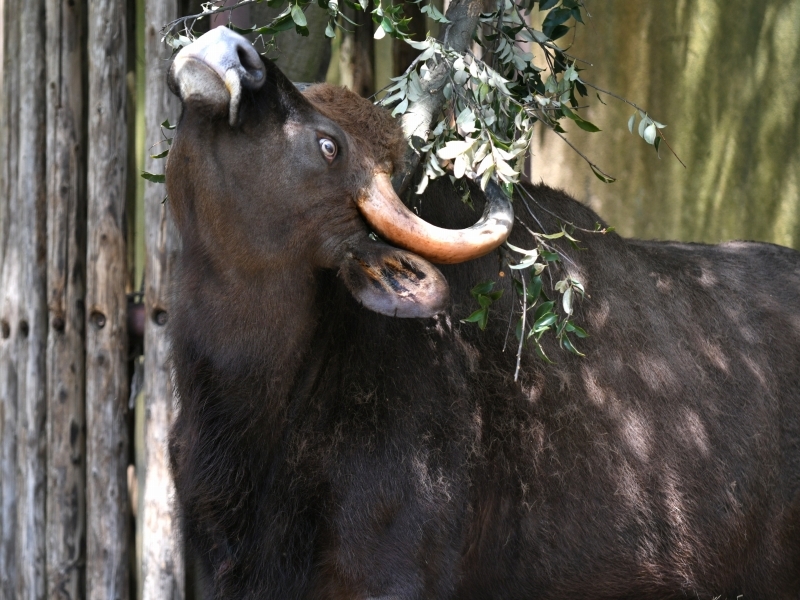 a0164204_14155611.jpg
