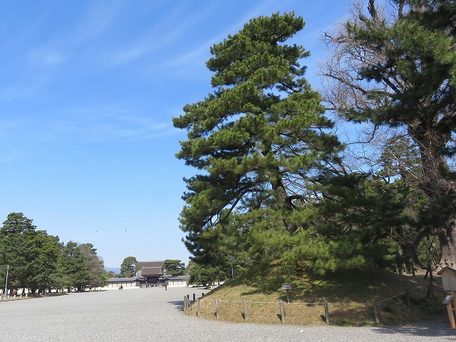 c0187004_20445244.jpg