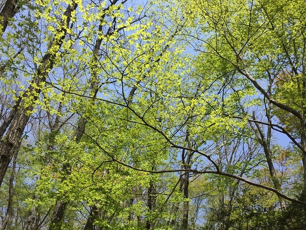 f0364707_09541995.jpg