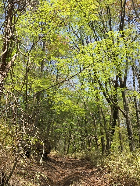 f0364707_09571868.jpg