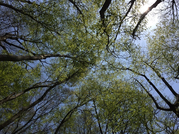 f0364707_09583148.jpg