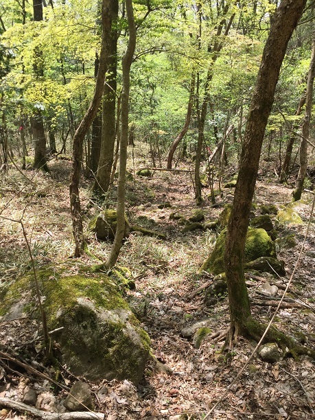 f0364707_09584899.jpg