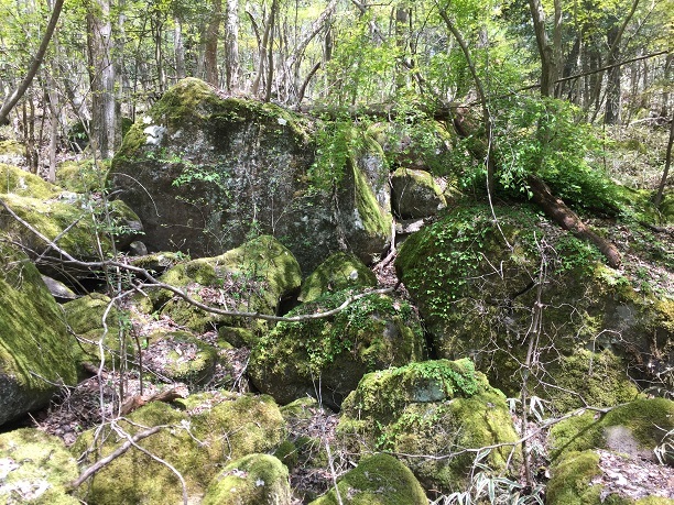 f0364707_09592716.jpg