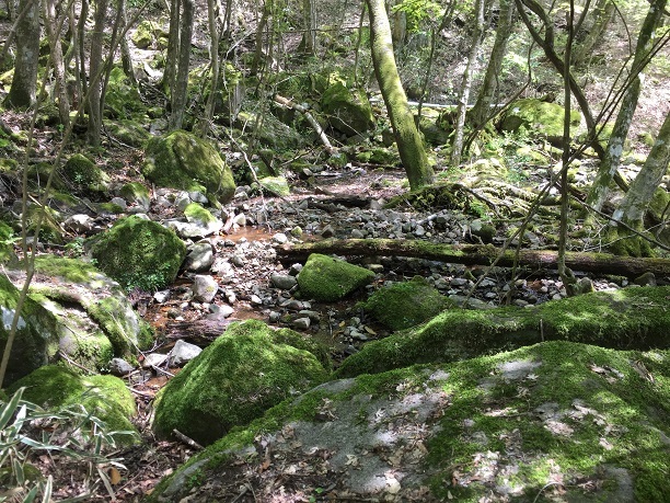 f0364707_10001312.jpg