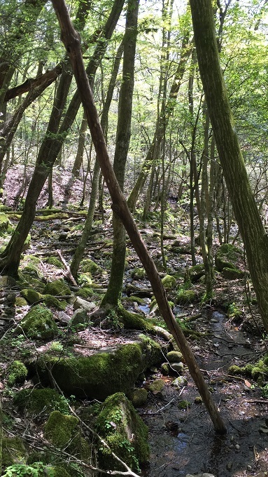 f0364707_10011920.jpg