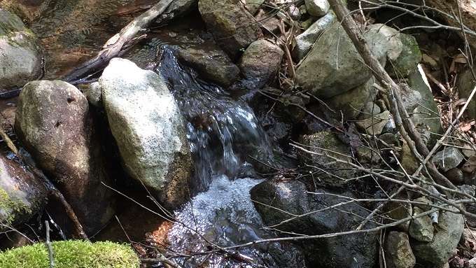 f0364707_10013774.jpg