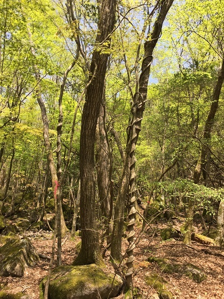 f0364707_10021832.jpg