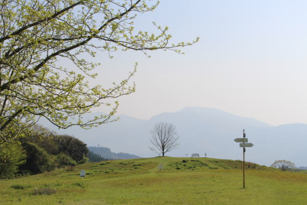 c0178009_12272716.jpg