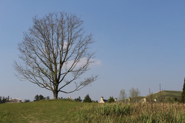 c0178009_12280352.jpg