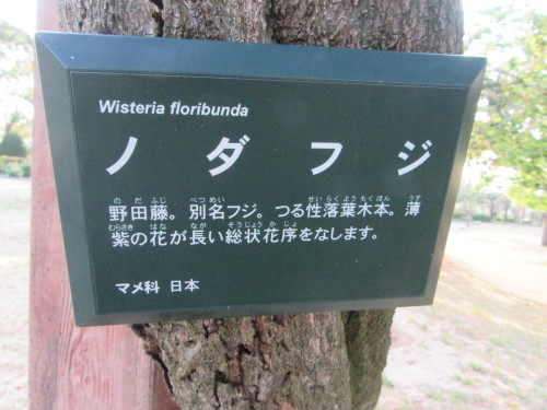 f0231709_22161359.jpg