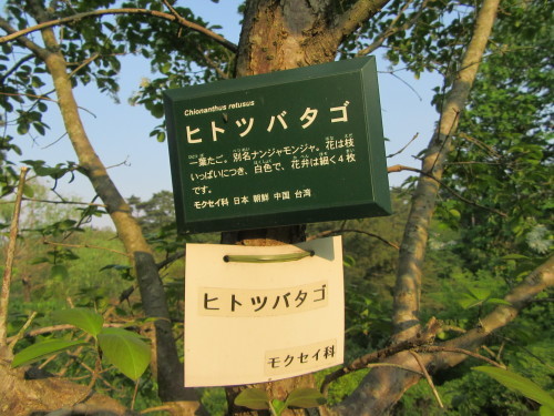 f0231709_22180238.jpg