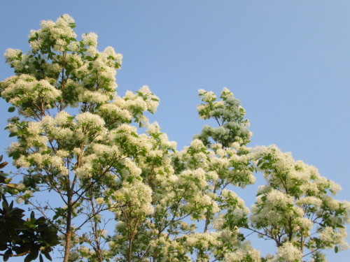 f0231709_22181868.jpg