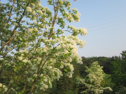 f0231709_22213795.jpg