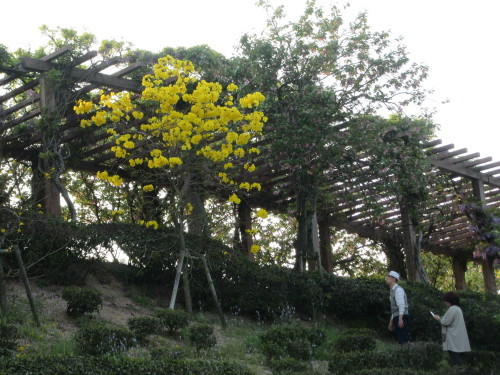 f0231709_22311508.jpg