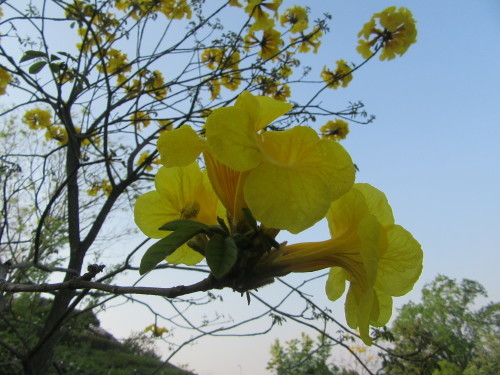 f0231709_22313717.jpg
