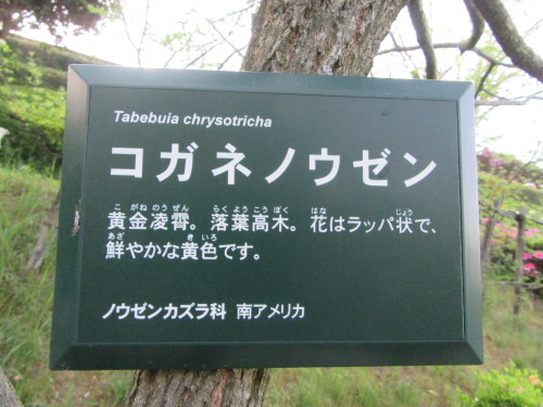 f0231709_22370363.jpg