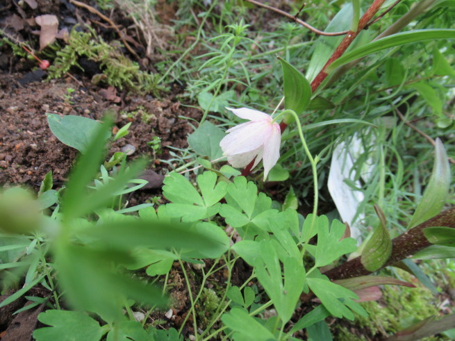 f0297809_22394258.jpg