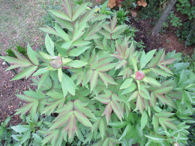f0297809_22404291.jpg