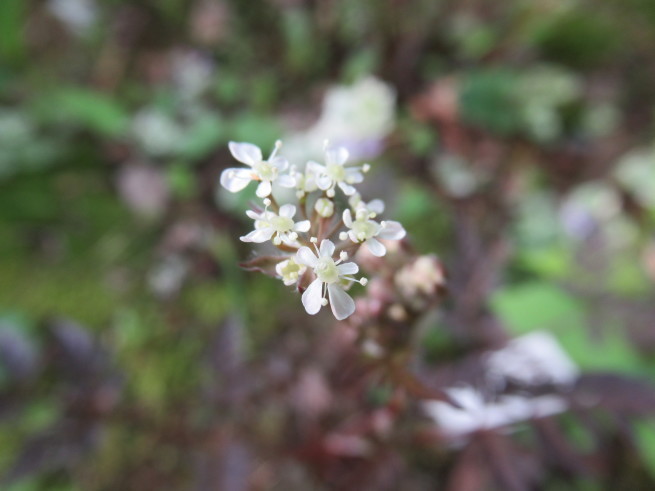 f0297809_22482286.jpg