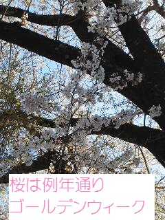 b0200310_836767.jpg