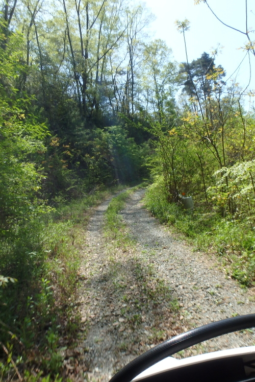 f0368610_18162007.jpg