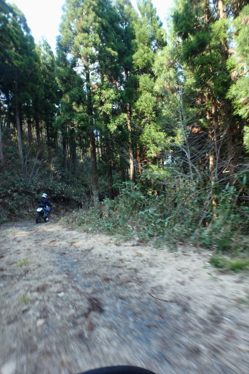f0368610_18195931.jpg