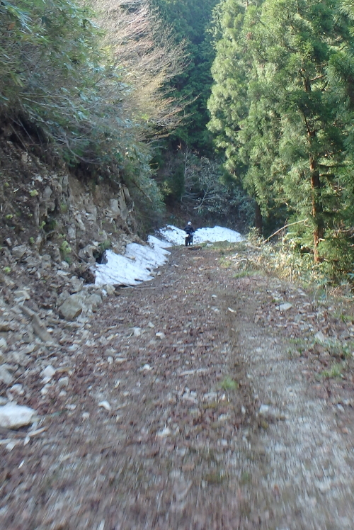 f0368610_18200977.jpg
