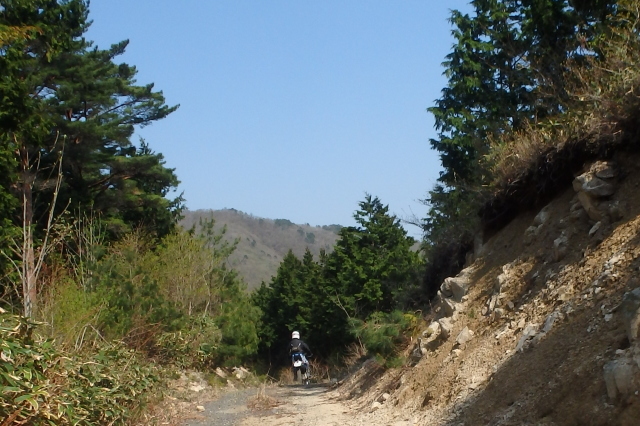 f0368610_18201852.jpg
