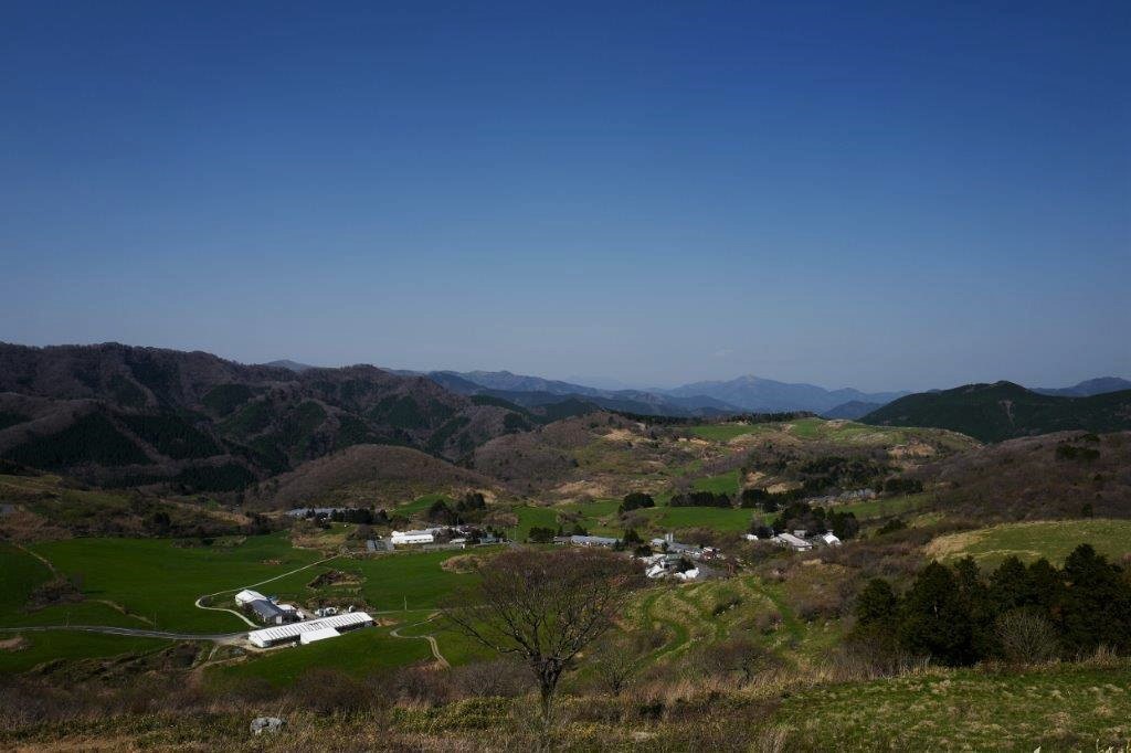 f0365212_22324114.jpg