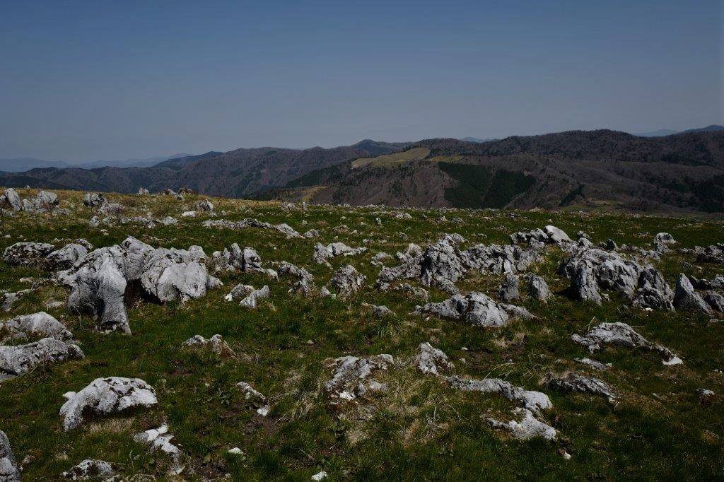 f0365212_22400821.jpg