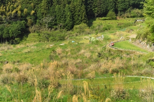 c0168815_20373322.jpg