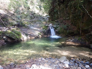 c0359615_16351649.jpg